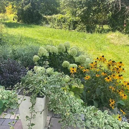 Fajna Kwatera Lägenhet