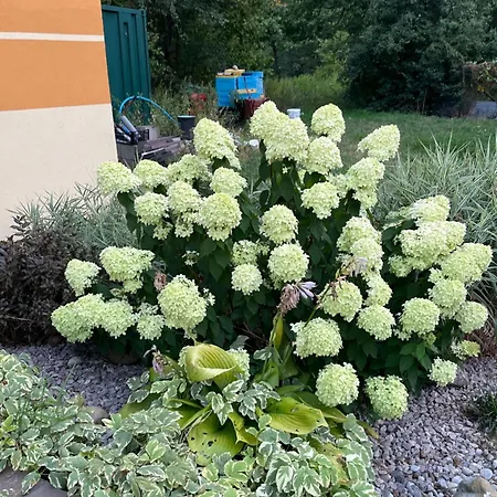 Fajna Kwatera * Warszawa